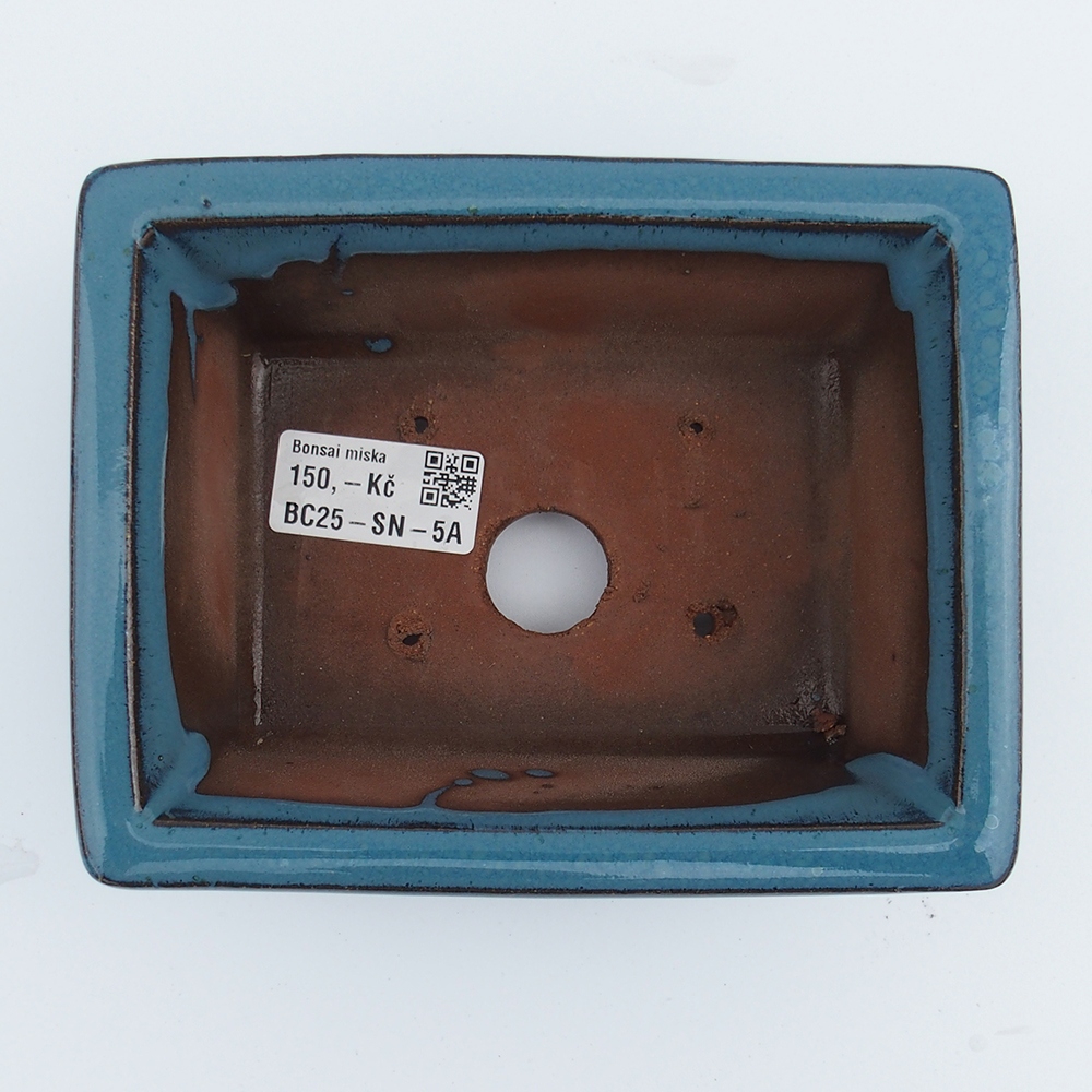 Kom 16 x 12,5 x 6,5 cm blauw