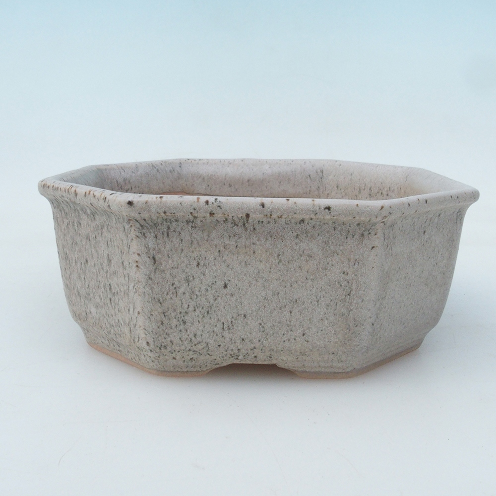 Bonsaischaal + schotel H13 - 12,5x12,5 x4,5 cm - beige