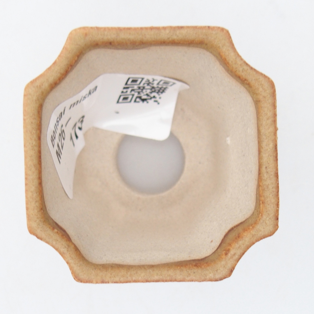Mini bonsaischaal 4,5 x 4,5 x 4 cm, bruin