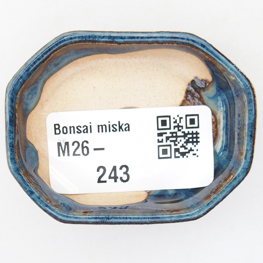 Mini bonsaischaal 5,5 x 4 x 1,5 cm, kleur blauw