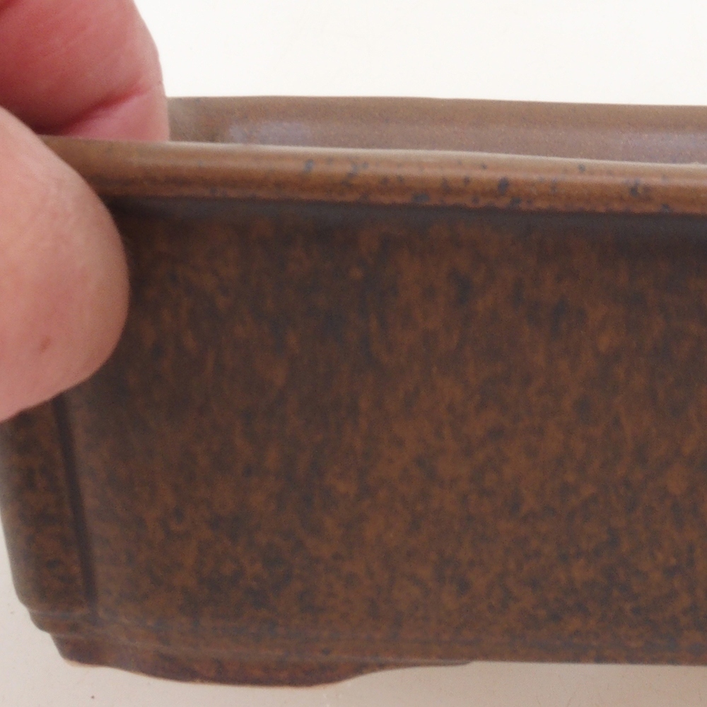 Bonsaischaal H50 - 17 x 12,5 x 5,5 cm - bruin