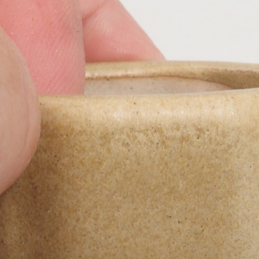 Mini bonsaischaal 4,5 x 4,5 x 2 cm, bruin