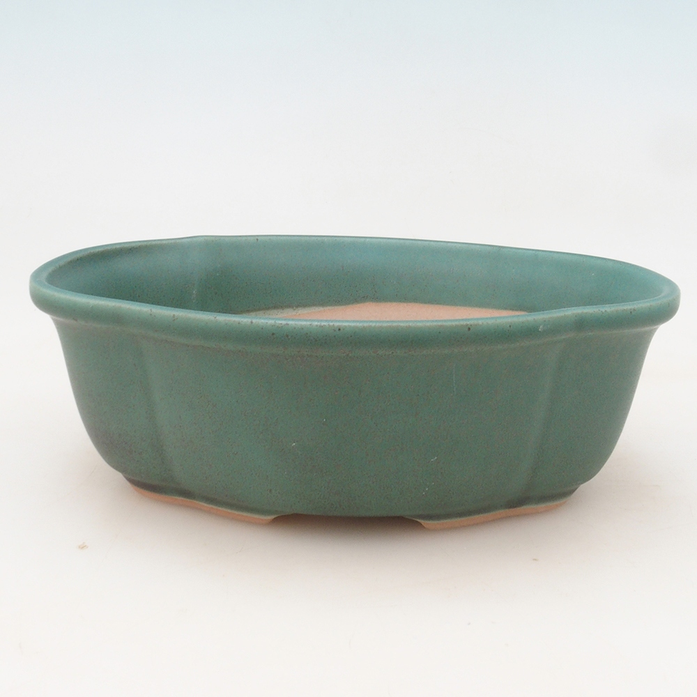 Bonsaischaal H75 - 19 x 14 x 6,5 cm - groen