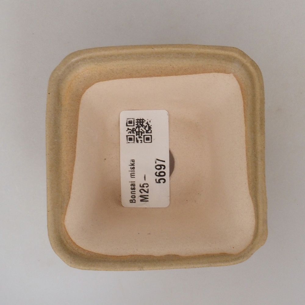 Mini bonsaischaal 7,5 x 7,5 x 4,5 cm, bruin