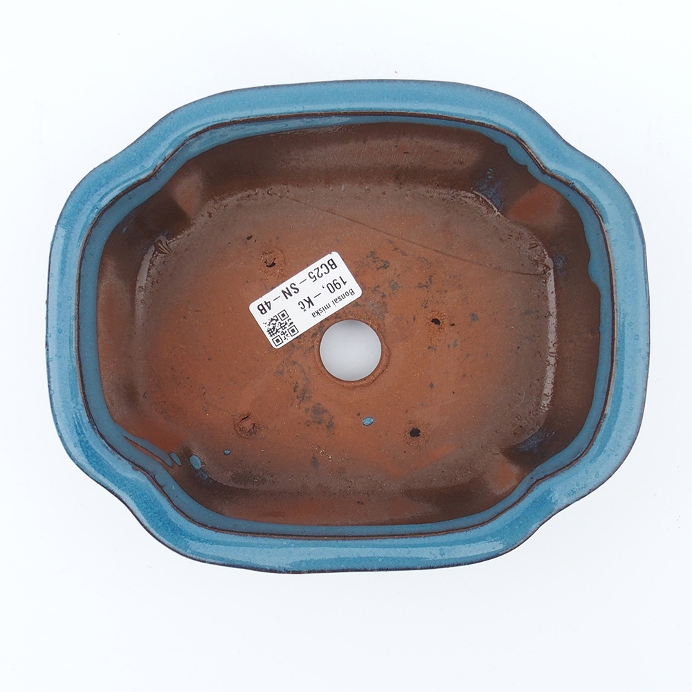 Kom 20 x 16 x 6,5 cm blauw