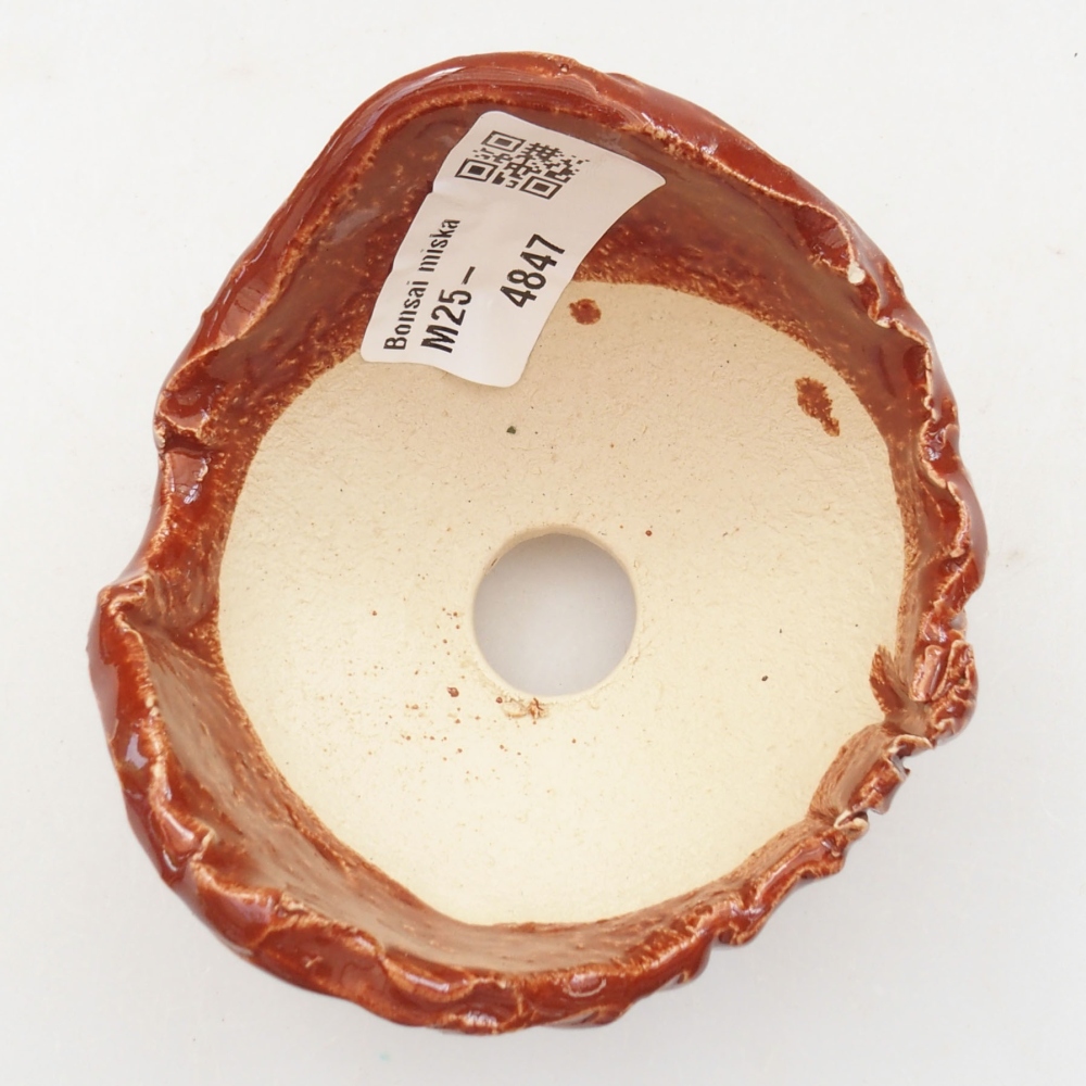 Keramisch Schelp 7,5 x 7,5 x 6 cm , kleur bruin