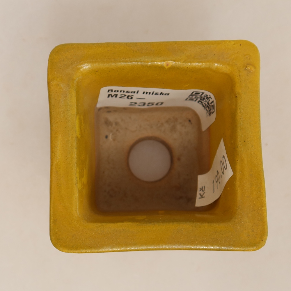 Keramische bonsaipot 6 x 6 x 5,5 cm, kleur geel