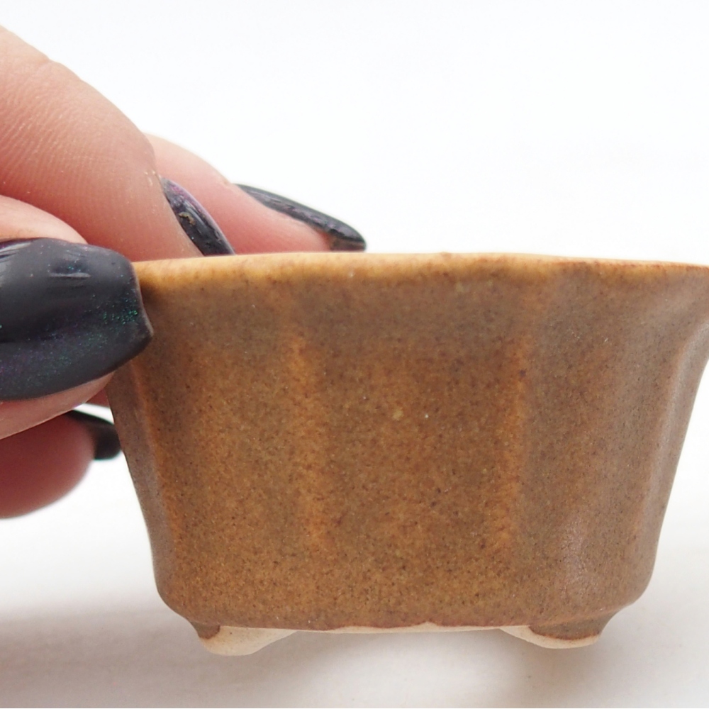 Mini bonsaischaal 5,5 x 5,5 x 3 cm, bruin
