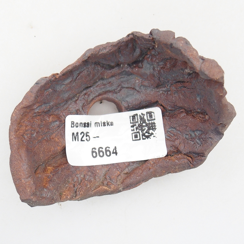 Keramisch Schelp 7,5 x 5,5 x 6 cm , kleur bruin