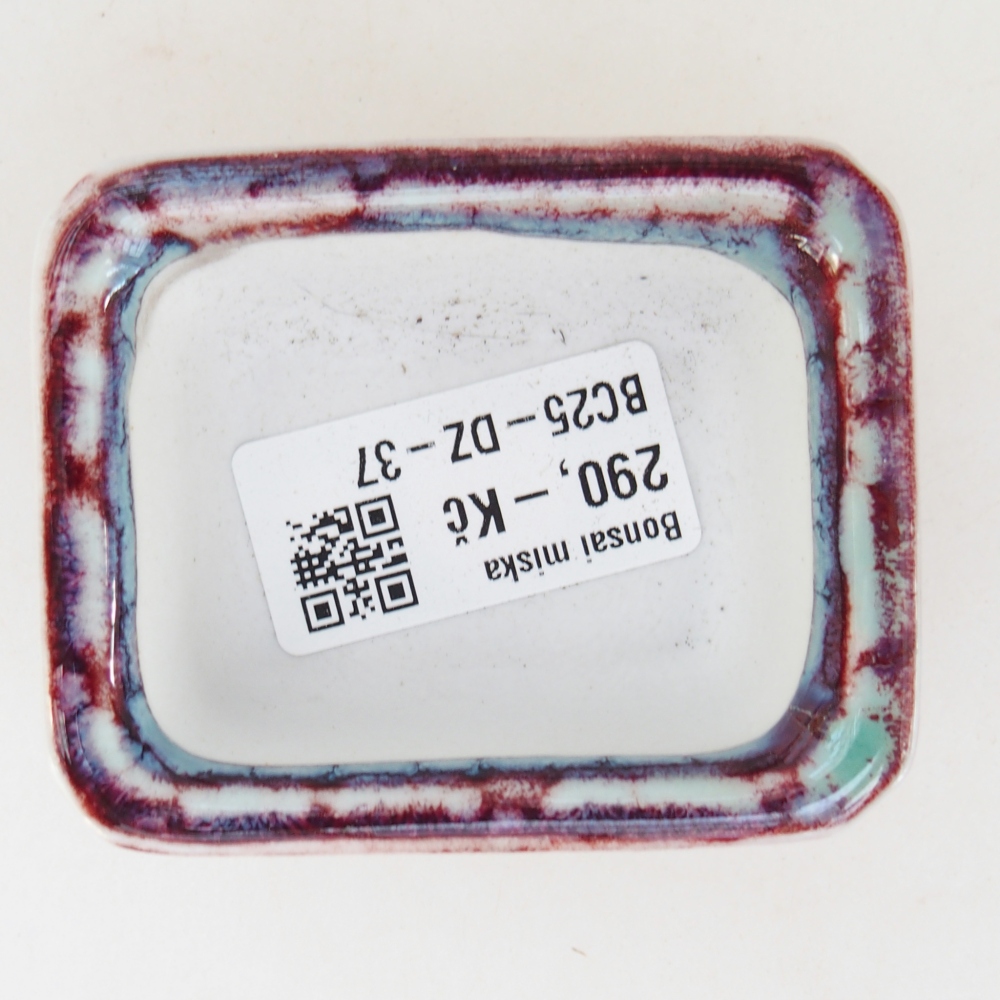 Mini bonsaischaal 7 x 5,5 x 3 cm, bordeauxrood
