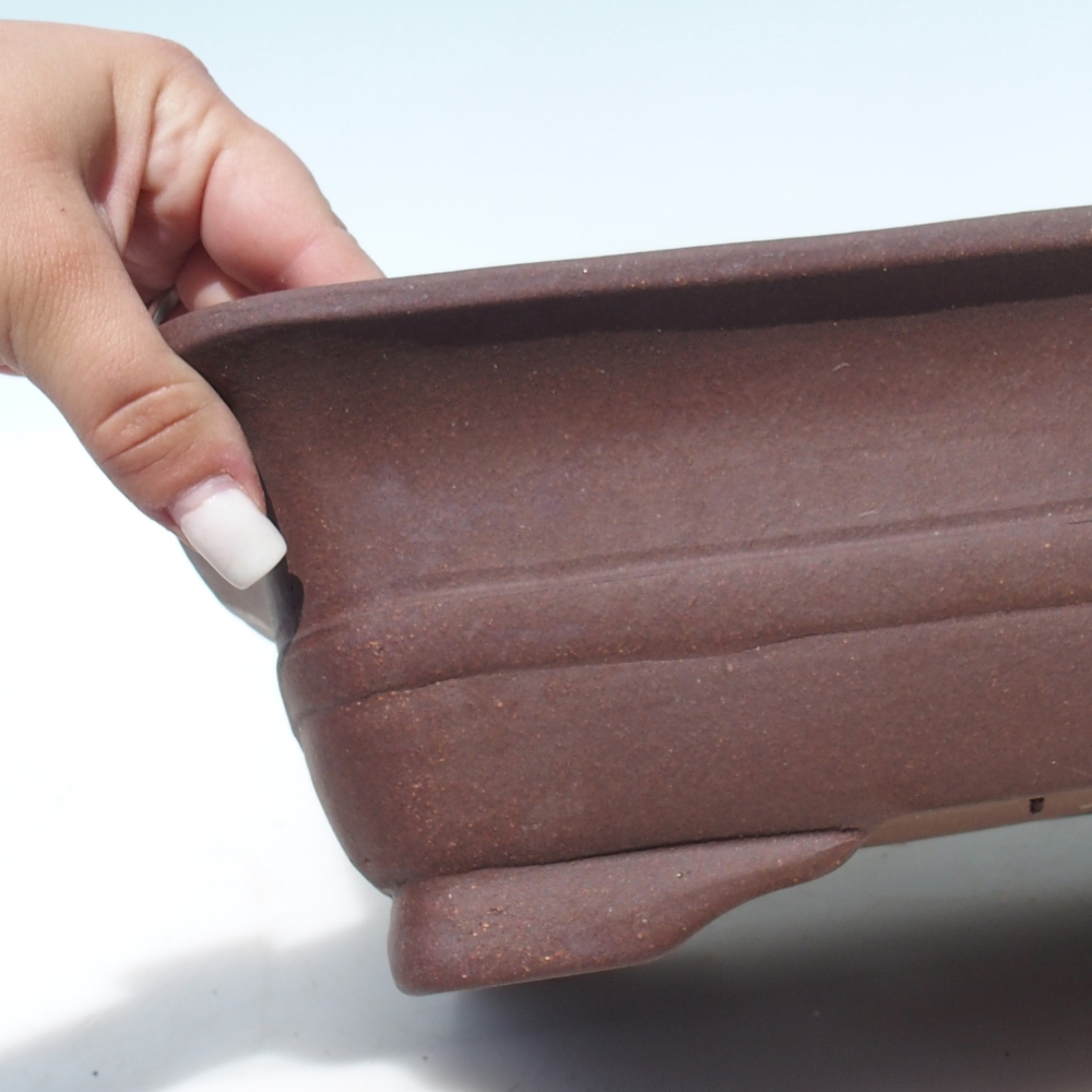 Bonsaischaal 39 x 32 x 10,5 cm berken bruin