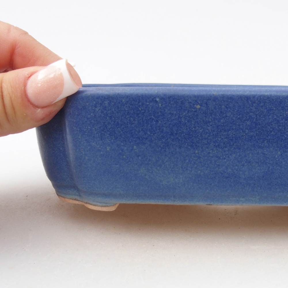 Bonsaischaal van keramiek 16 x 11,5 x 4 cm, kleur blauw