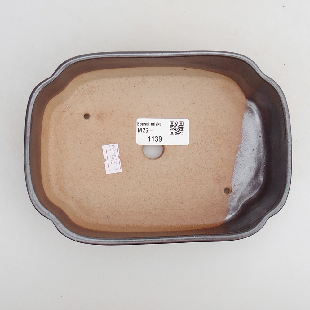 Bonsaischaal van keramiek 18 x 13 x 5 cm, bruin