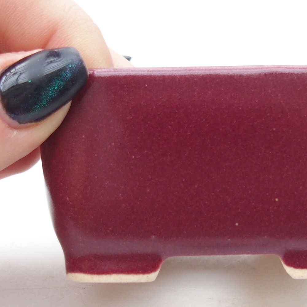 Mini bonsaischaal 7 x 7 x 4 cm, bordeauxrood