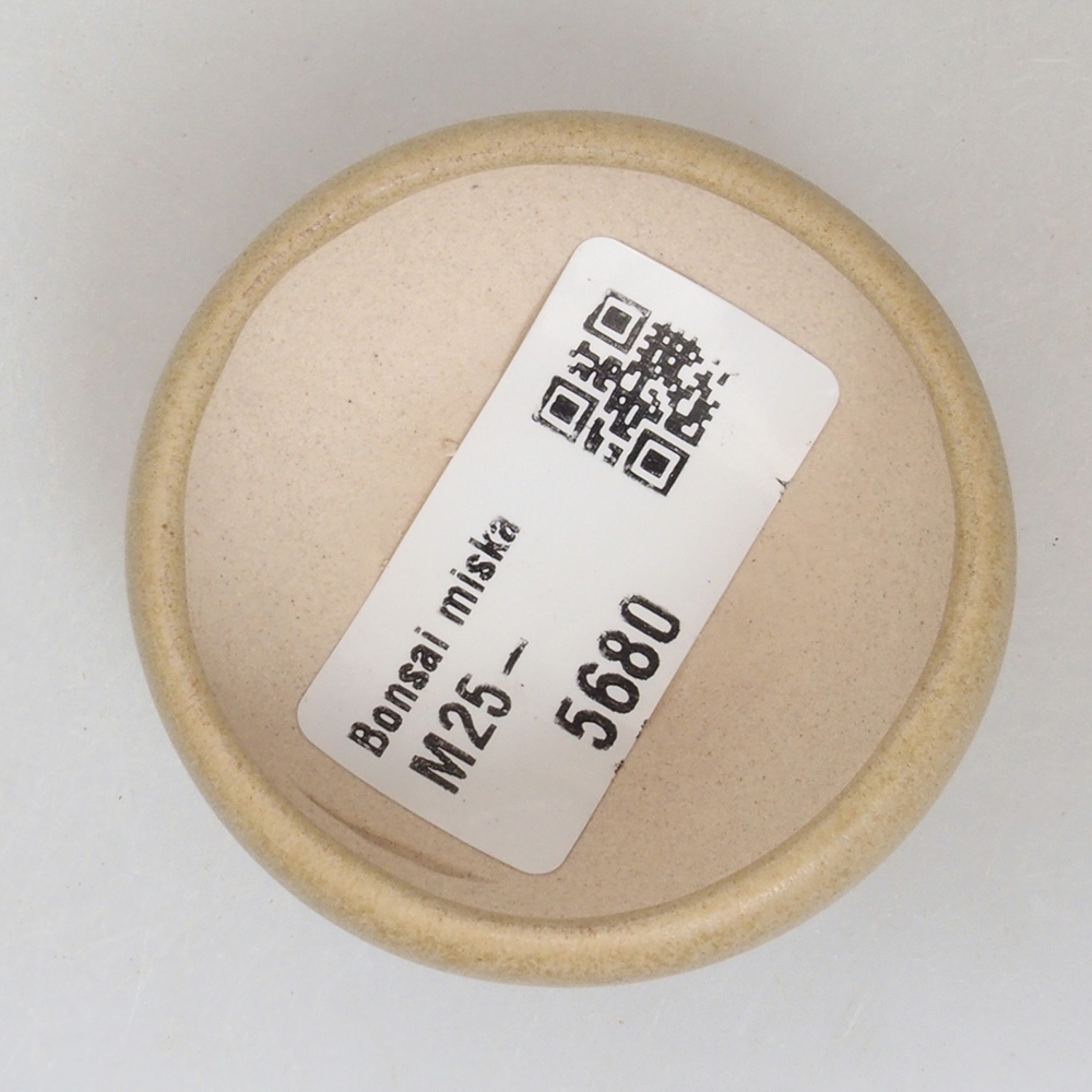 Mini bonsaischaal 5 x 5 x 2 cm, bruin
