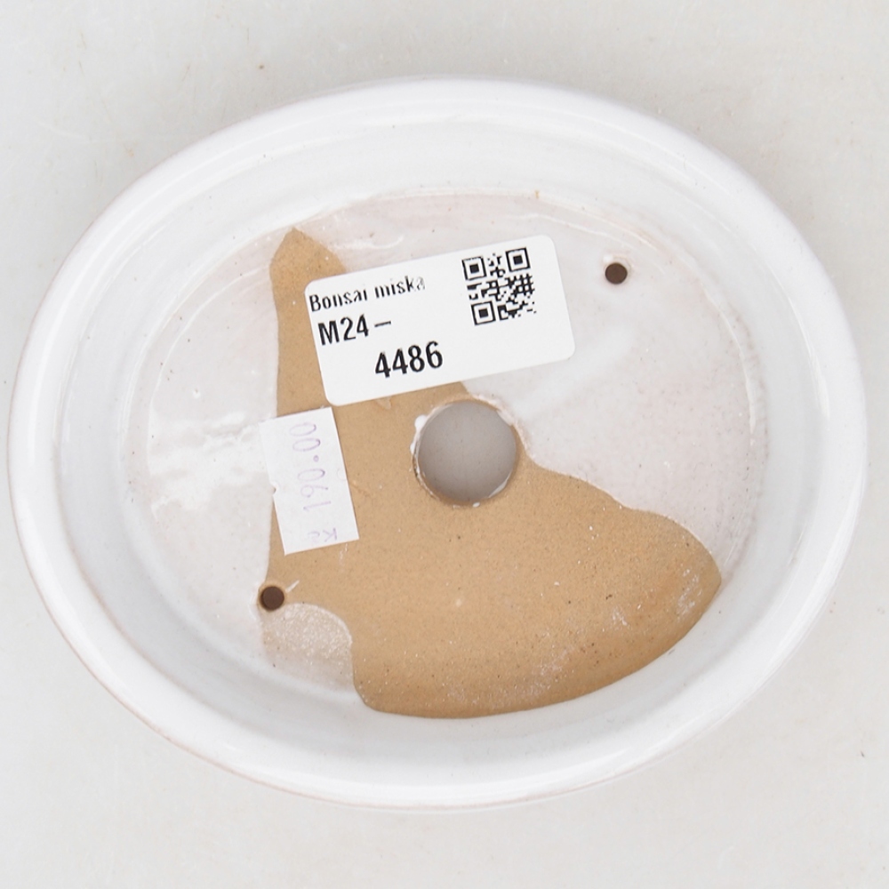 Bonsaischaal van keramiek 13 x 11 x 2,5 cm, kleur wit