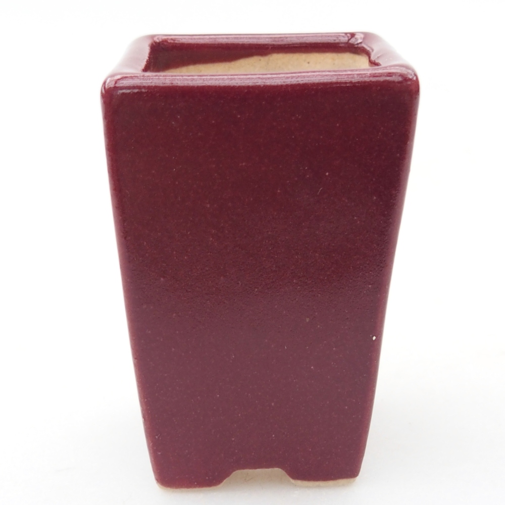 Mini bonsaischaal 3,5 x 3,5 x 5 cm, kleur bordeauxrood