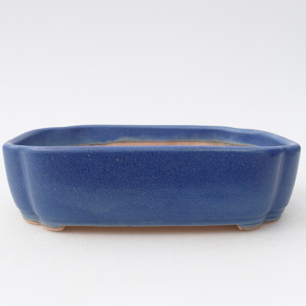 Bonsaischaal van keramiek 16 x 11,5 x 4 cm, kleur blauw