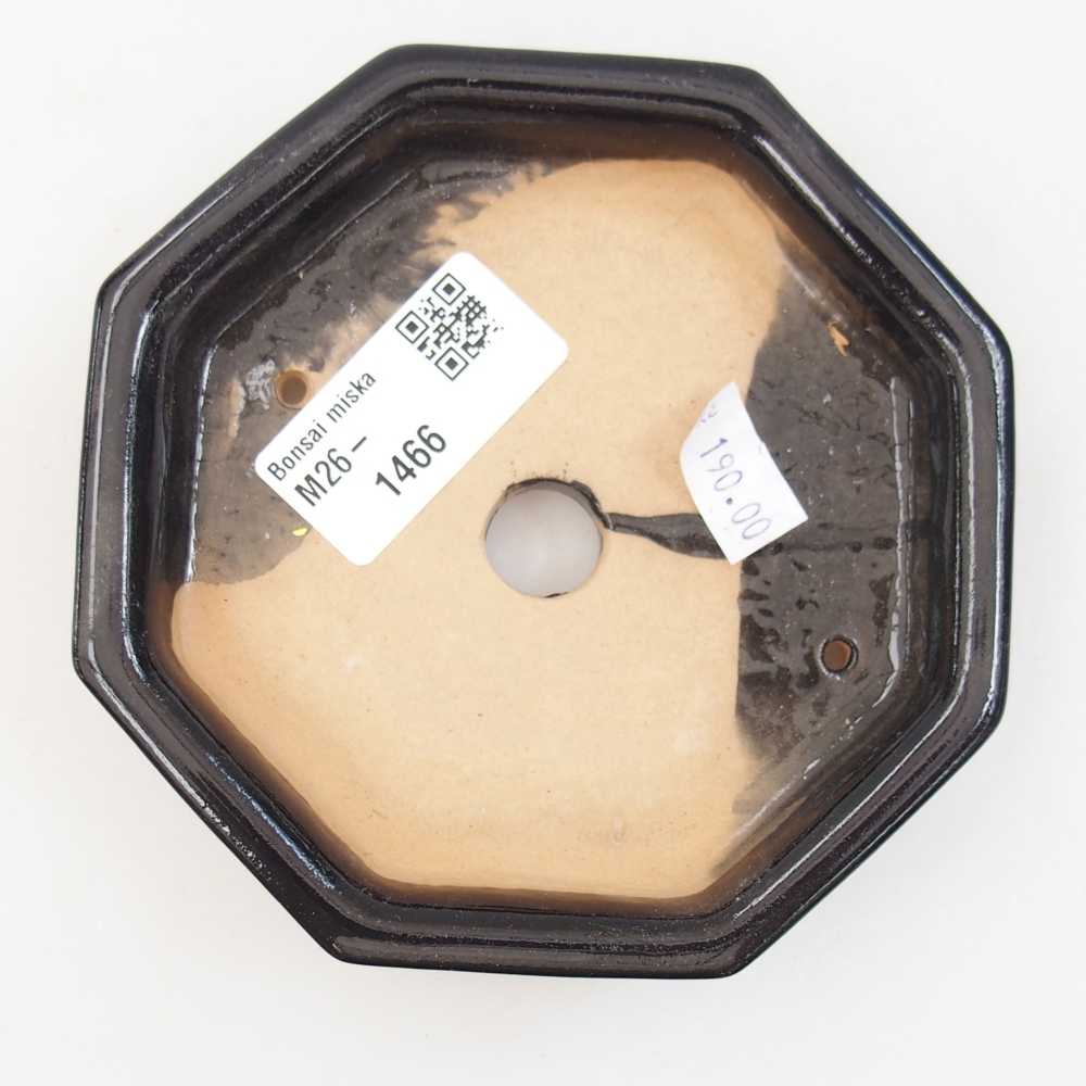 Bonsaischaal van keramiek 11,5 x 11,5 x 2 cm, kleur zwart