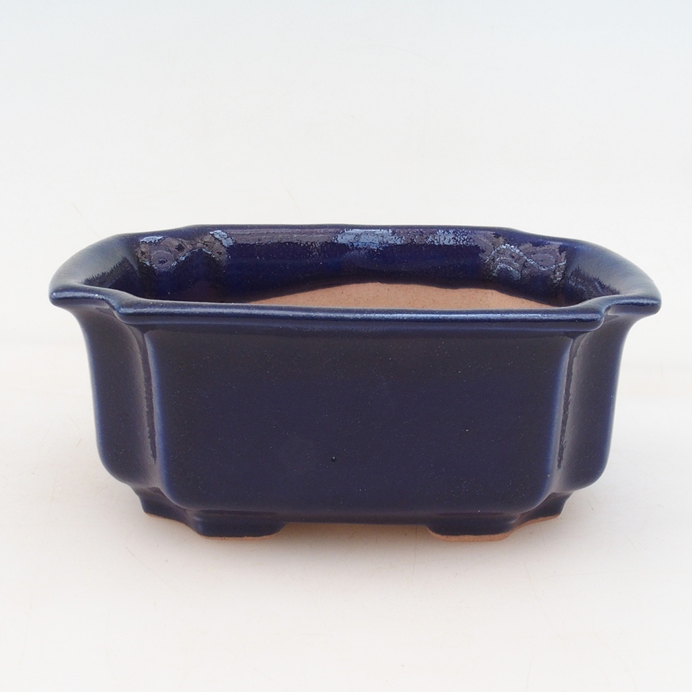 Bonsai kom + schotel H01 - blauw