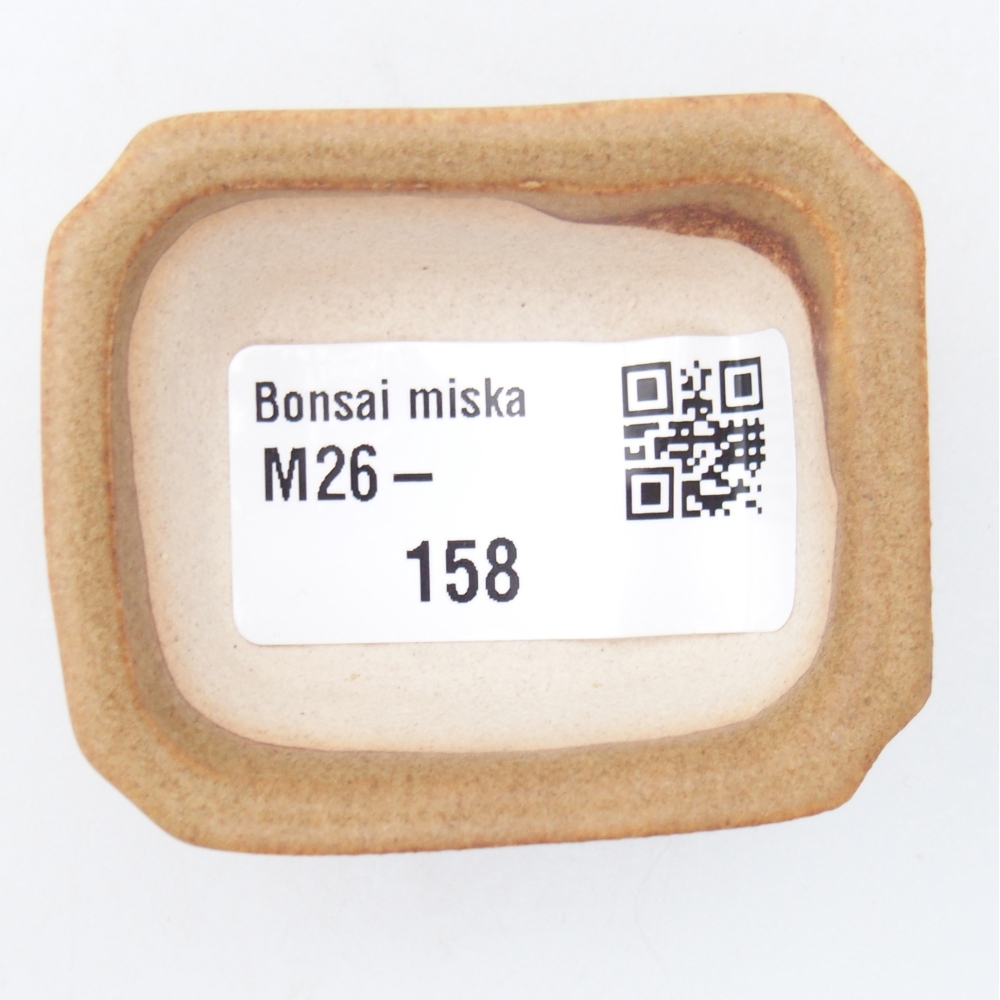 Mini bonsaischaal 5,5 x 4,5 x 2 cm, bruin