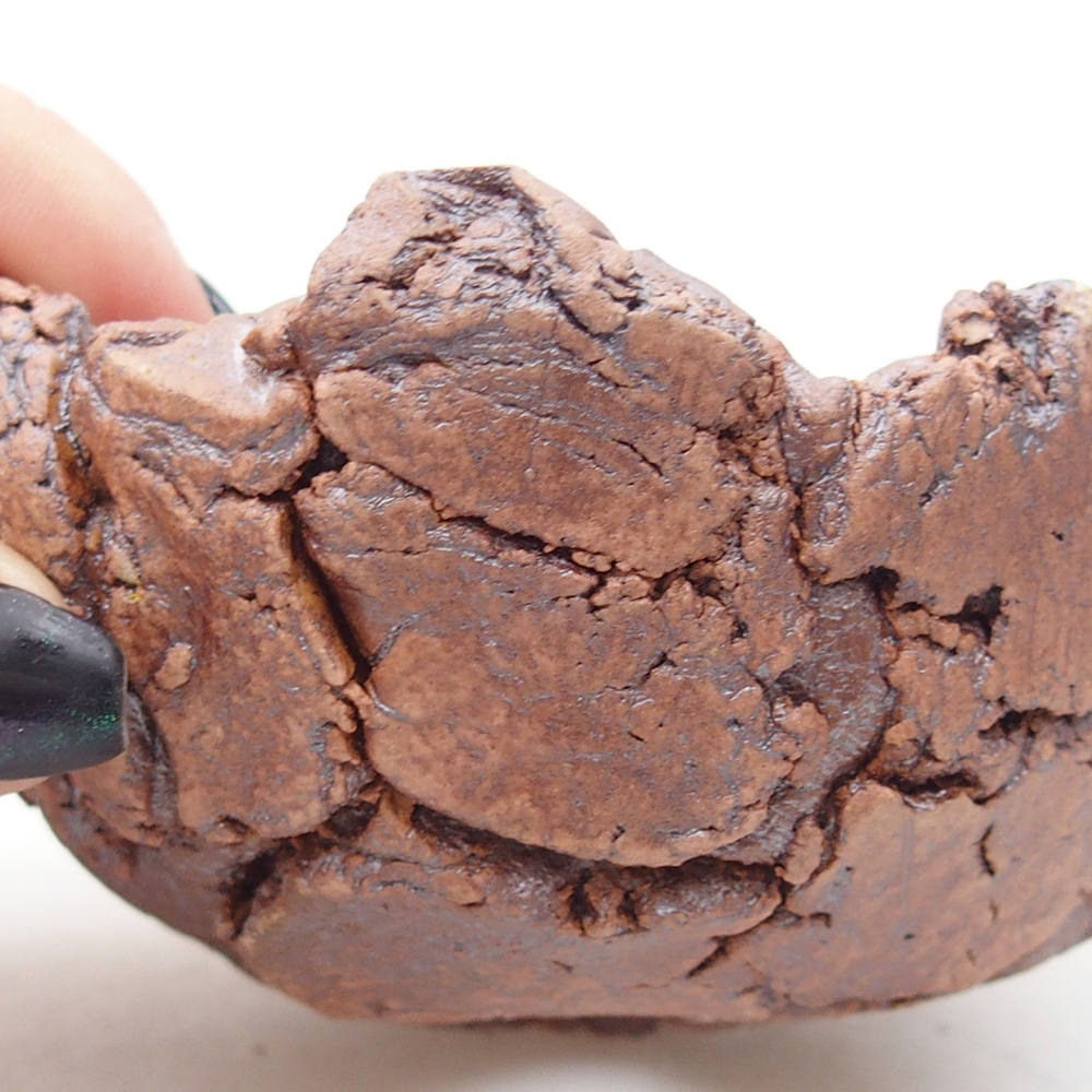 Keramisch Schelp 9 x 9 x 5,5 cm , kleur bruin