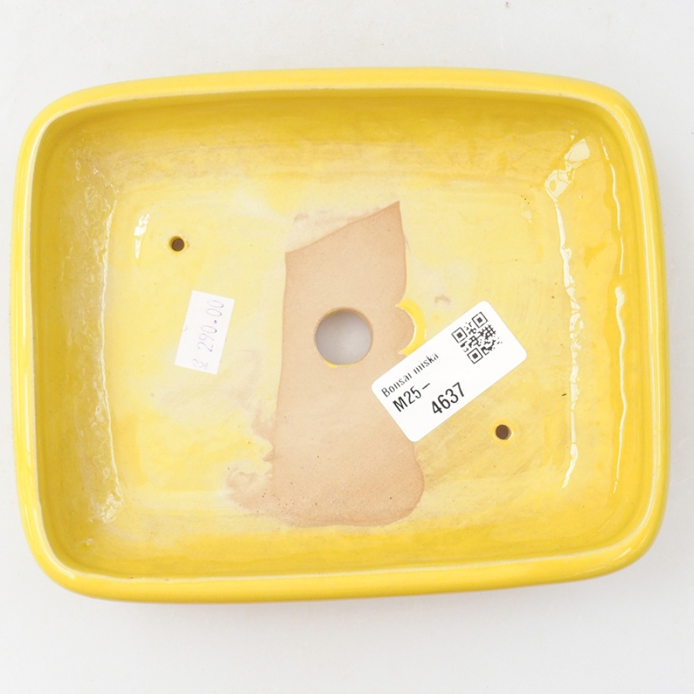 Bonsaischaal van keramiek 17 x 13,5 x 3,5 cm, geel