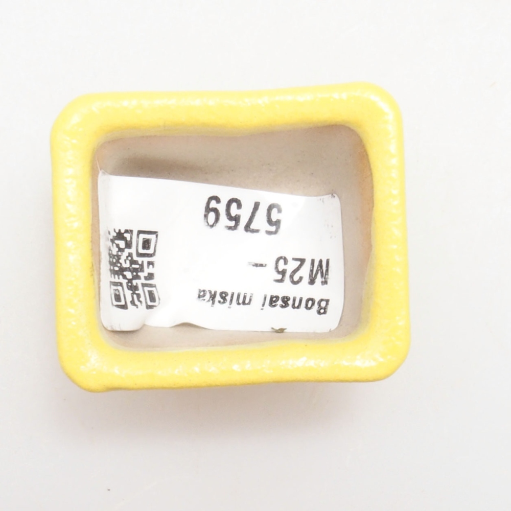 Bonsaischaaltje van keramiek 4 x 3 x 2,5 cm, geel