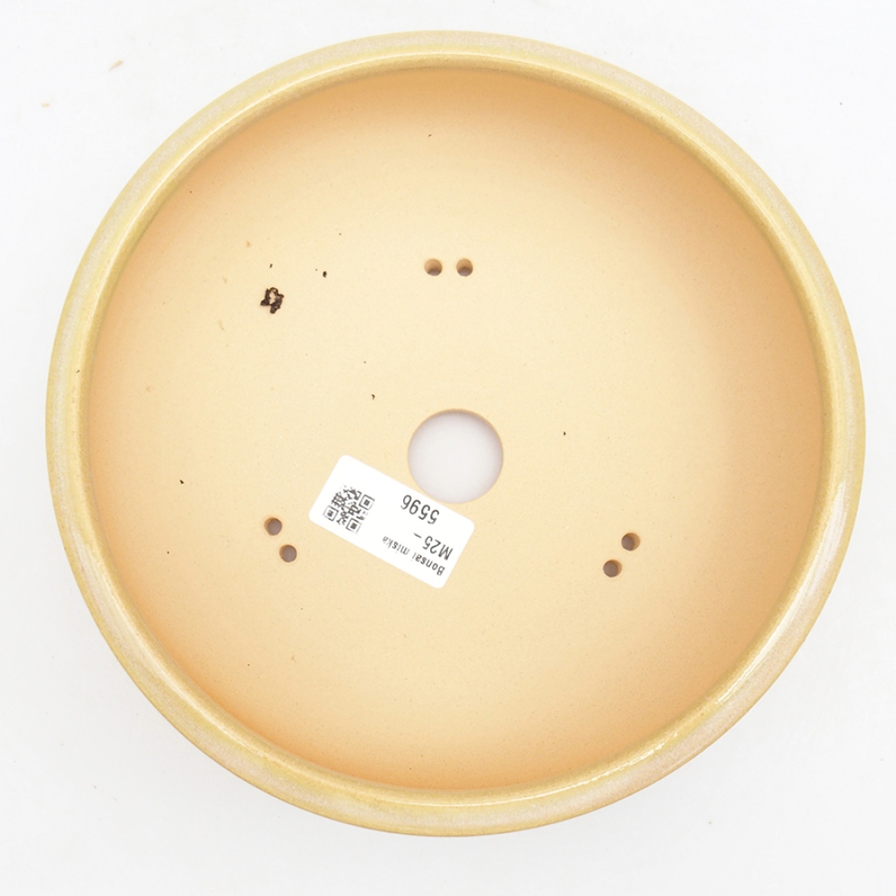 Bonsaischaal van keramiek 18,5 x 18,5 x 6,5 cm, groen