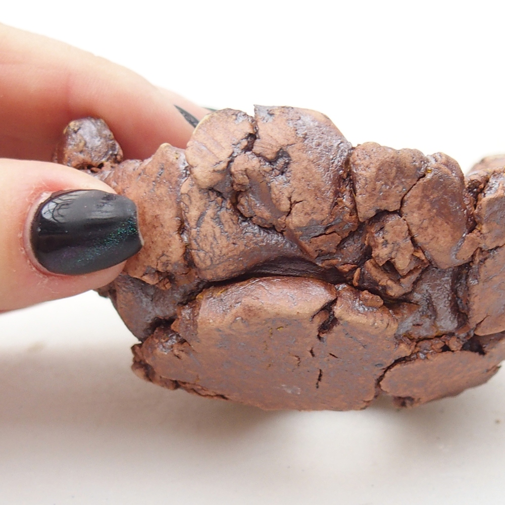 Keramisch Schelp 9 x 9 x 4,5 cm , kleur bruin