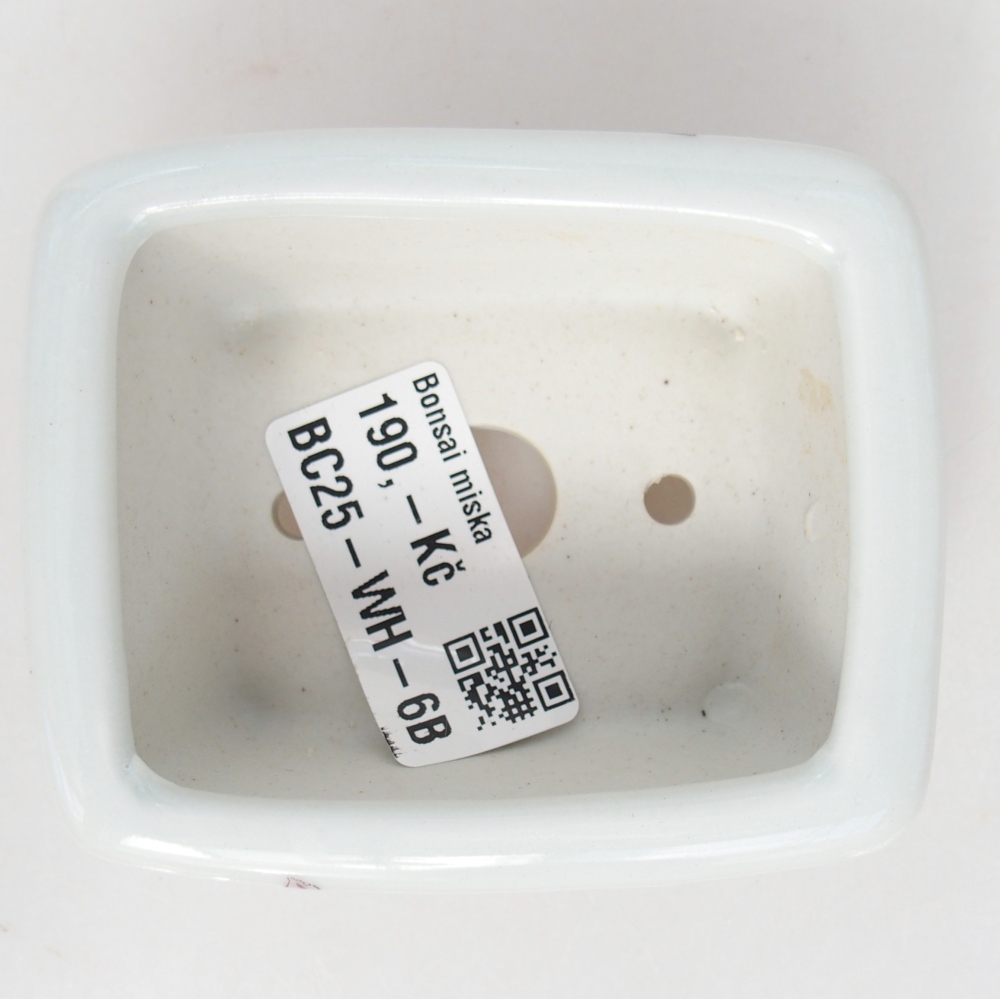 Mini bonsaischaal 8 x 6,5 x 3,5 cm, wit