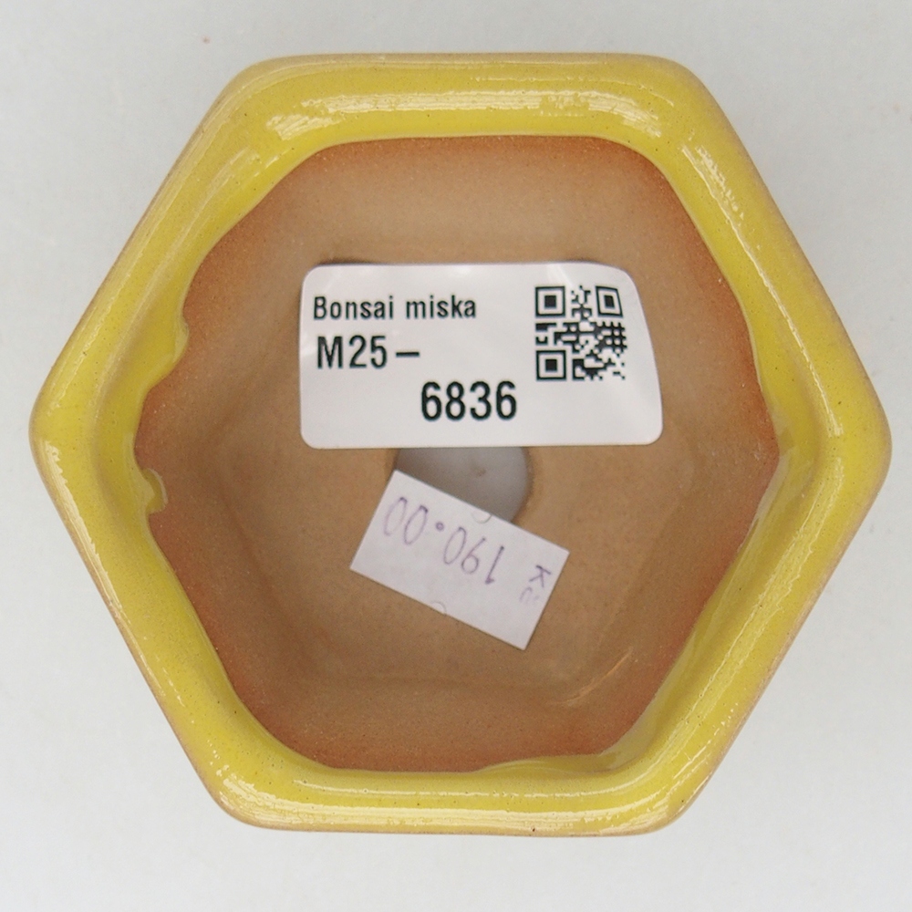 Bonsaischaal van keramiek 7,5 x 7 x 4 cm, geel