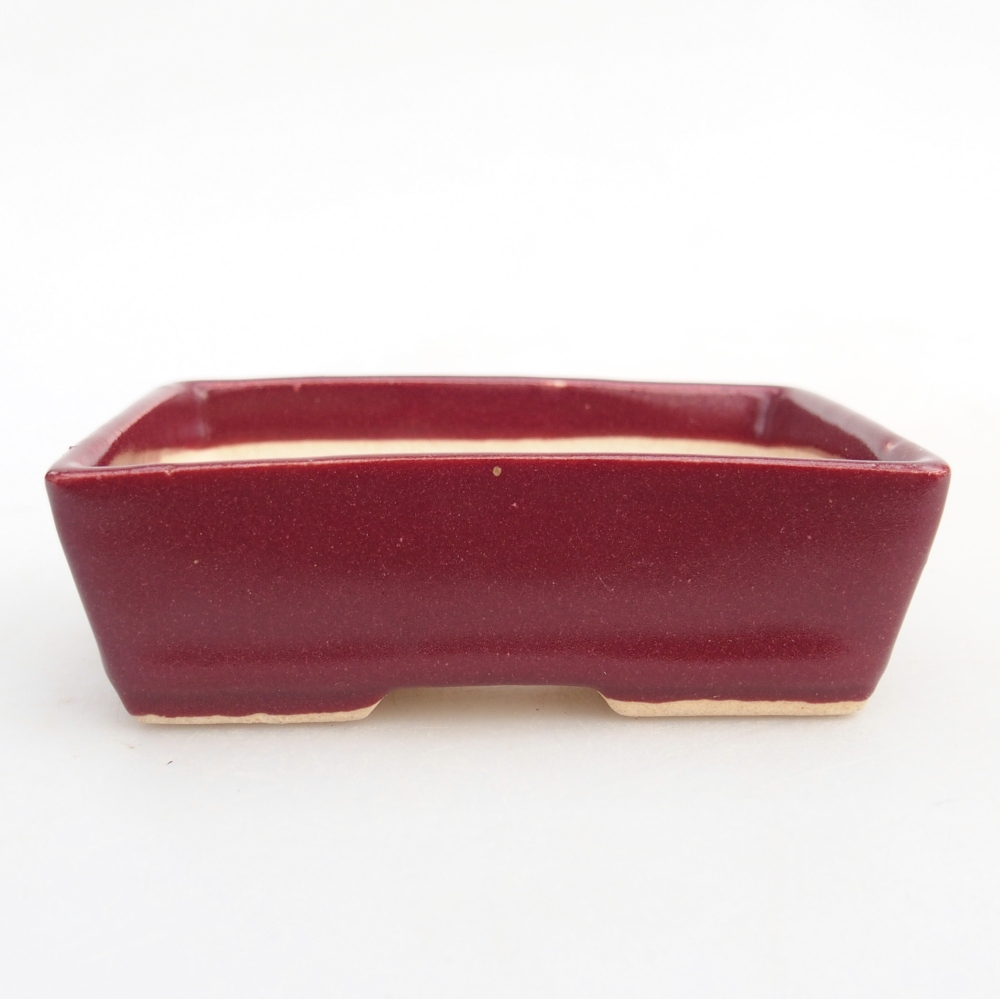 Mini bonsaischaal 8 x 6 x 2,5 cm, bordeauxrood