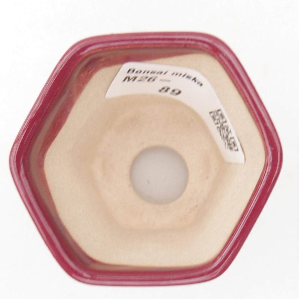 Mini bonsaischaal 5,5 x 5 x 5 cm, kleur bordeauxrood