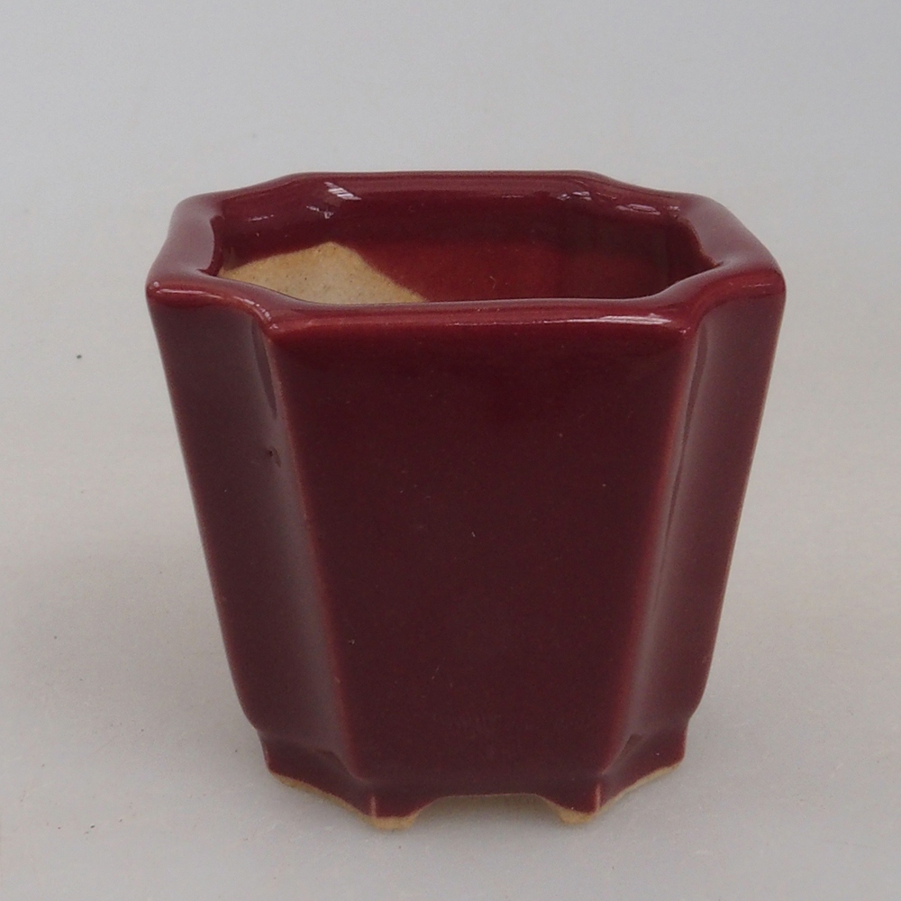 Mini bonsaischaal 4 x 4 x 3,5 cm, bordeauxrood