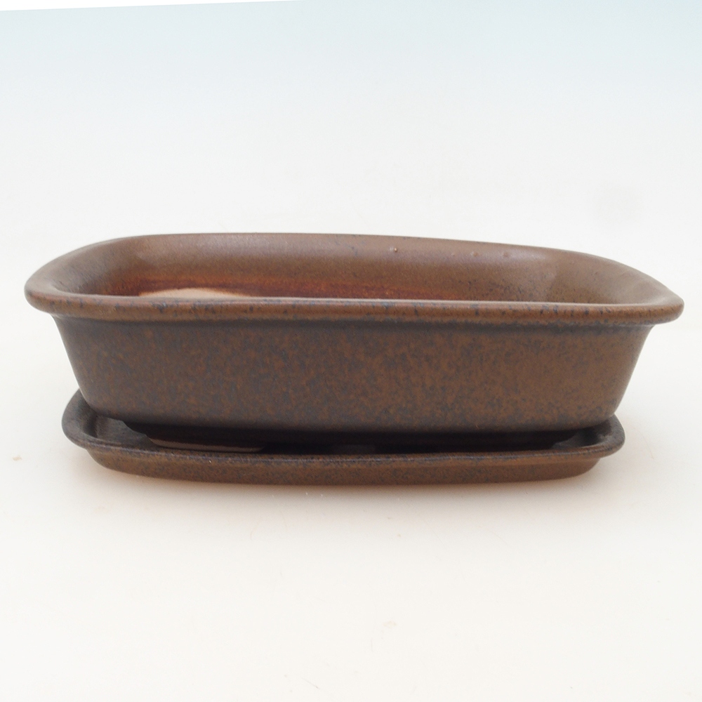 Bonsaischaal + schotel H02 - bruin