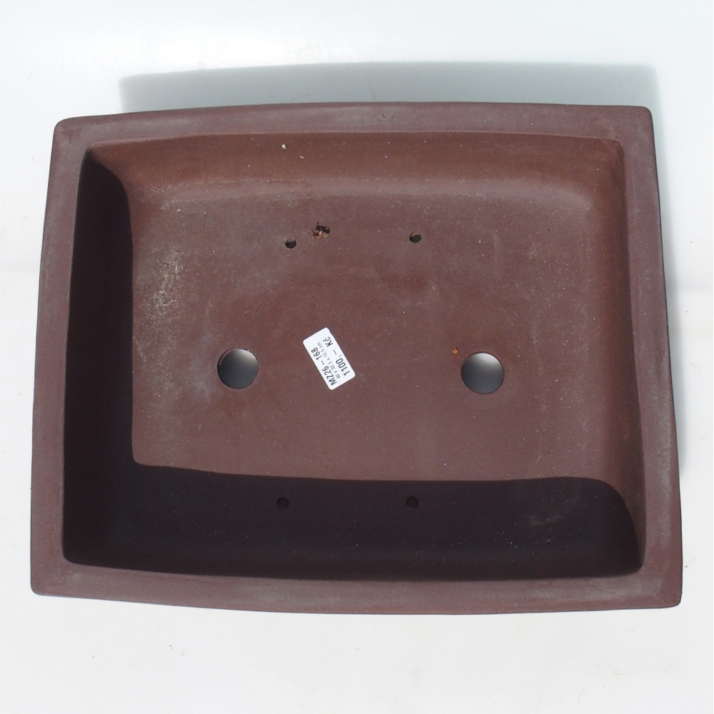 Bonsaischaal 40 x 32,5 x 10,5 cm berken bruin