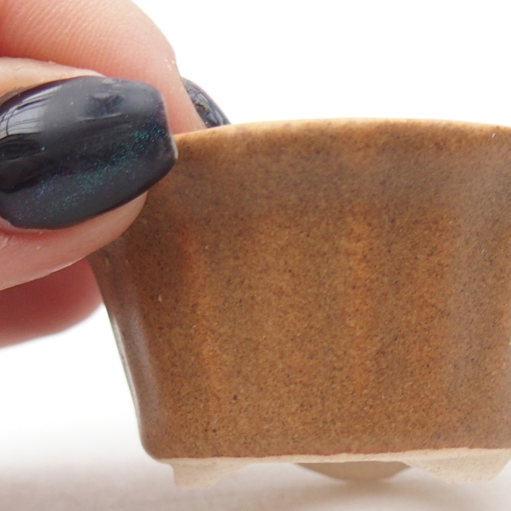 Mini bonsaischaal 5,5 x 5,5 x 3 cm, bruin