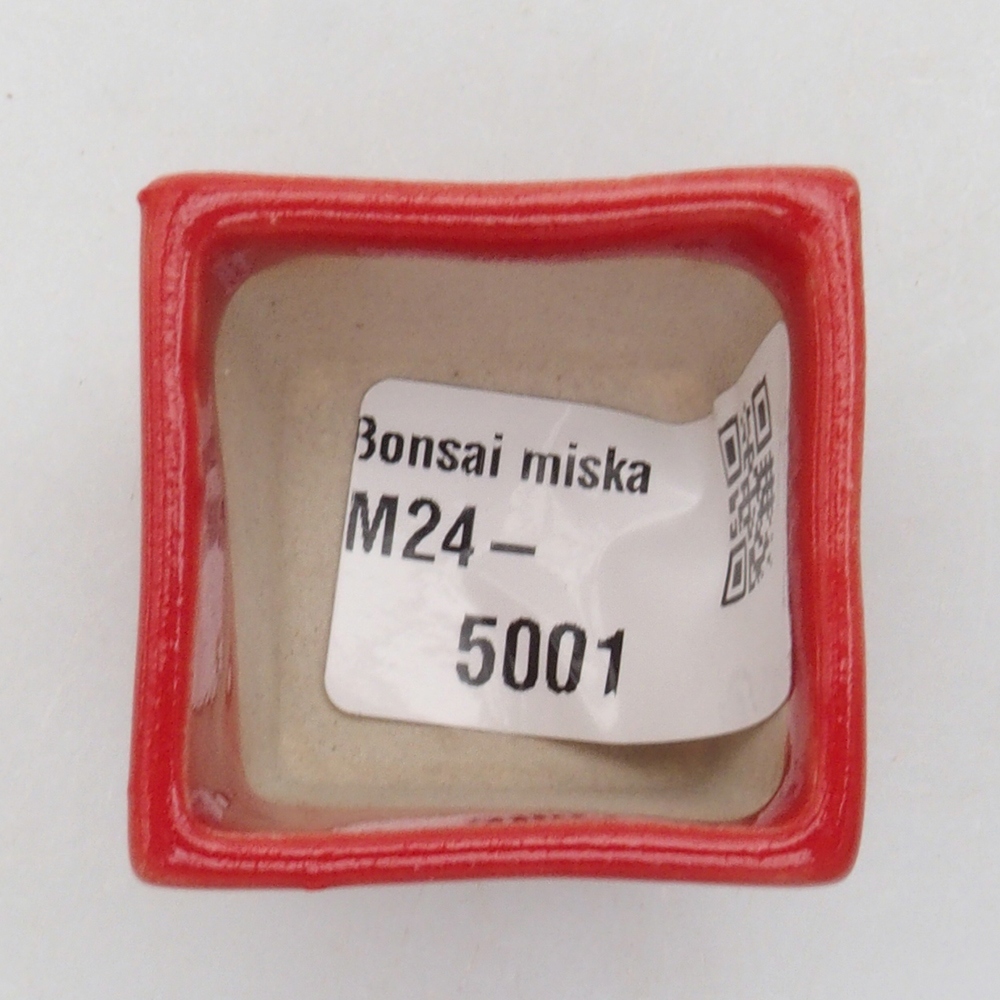 Mini bonsaischaal 3,5 x 3,5 x 3 cm, kleur rood