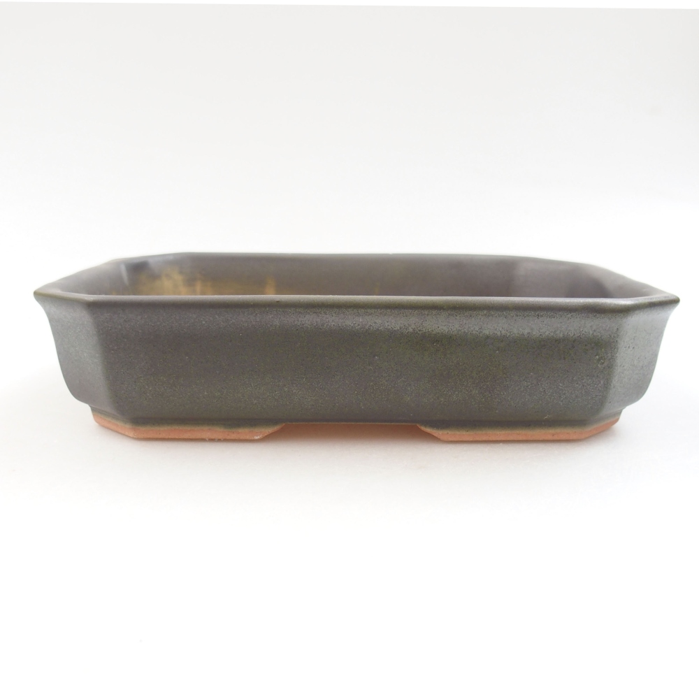 Bonsaischaal van keramiek 22 x 17 x 5 cm, groen