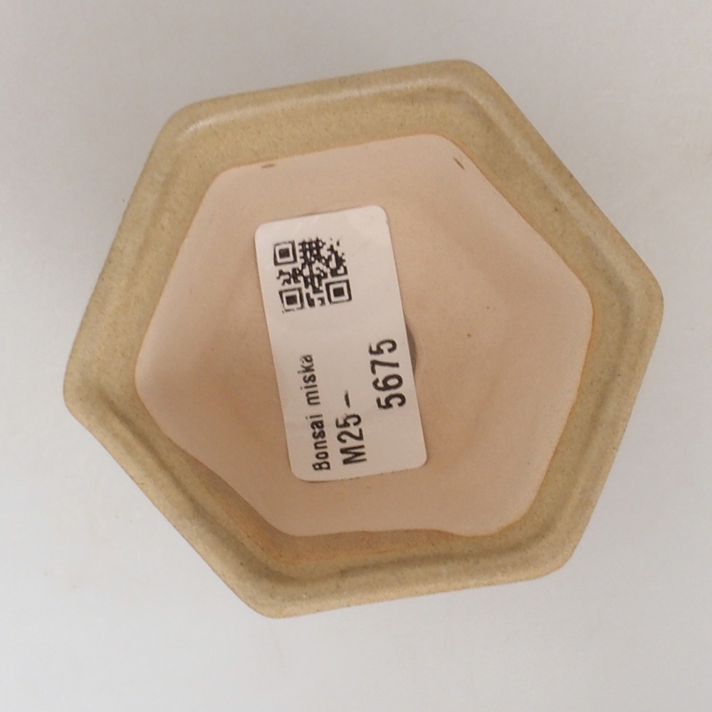 Mini bonsaischaal 7 x 7 x 5 cm, bruin