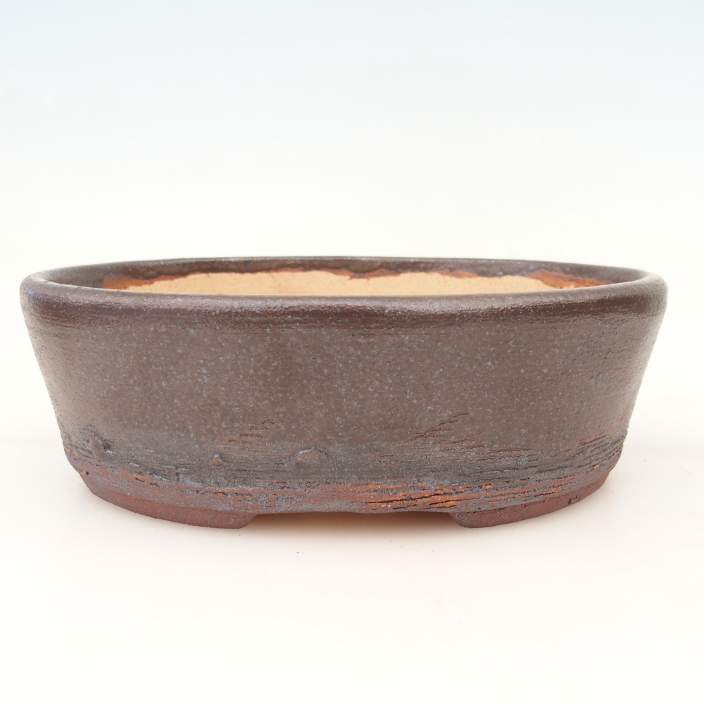 Bonsaischaal 20 x 16 x 6 cm , kleur bruin