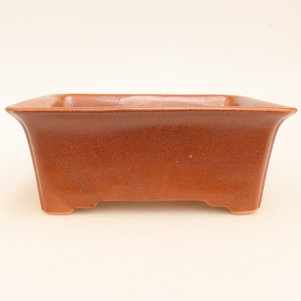 Keramische bonsaipot 18 x 14 x 7 cm, kleur bordeauxrood