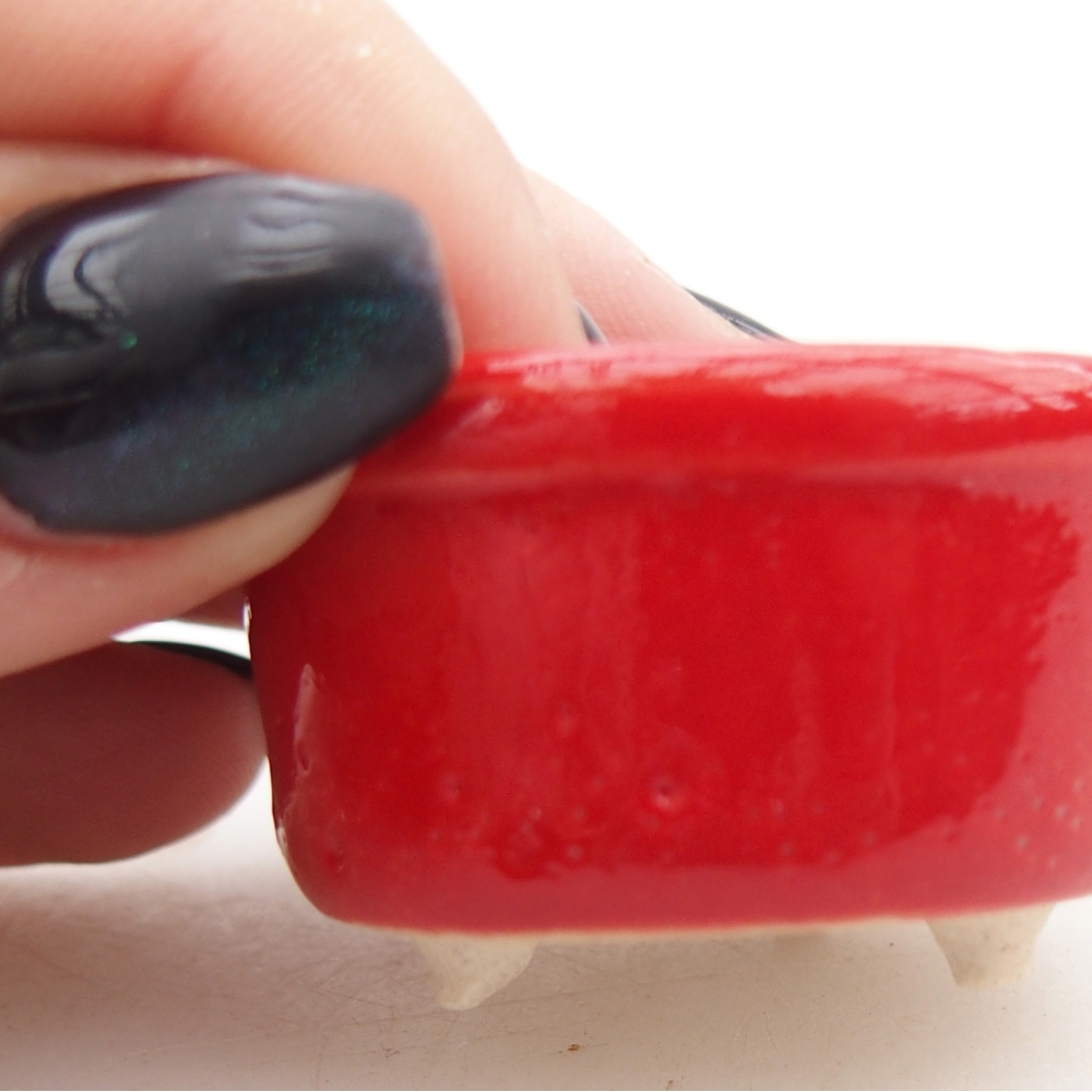 Mini bonsaischaal 4 x 4 x 2,5 cm, kleur rood