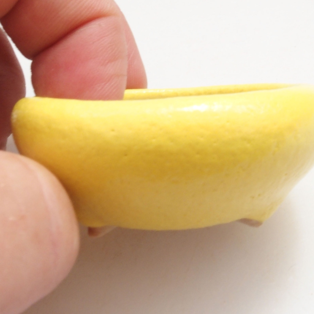 Bonsaischaaltje van keramiek 5 x 5 x 2 cm, geel