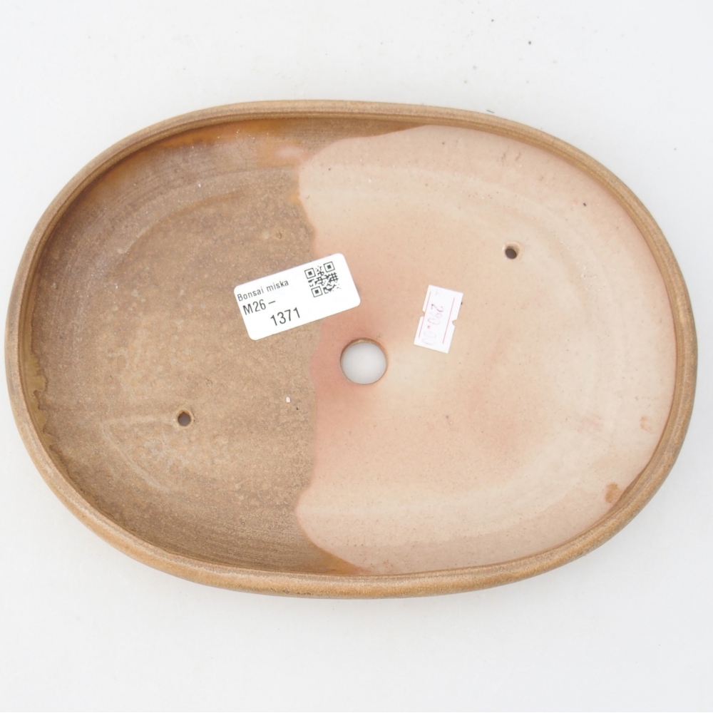 Bonsaischaal van keramiek 22,5 x 16,5 x 3 cm, kleur beige