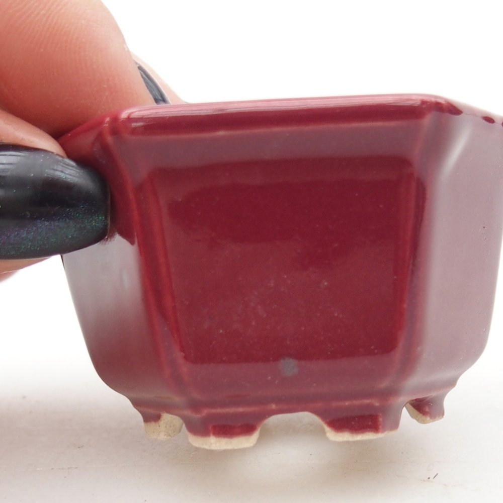 Mini bonsaischaal 5 x 4,5 x 3 cm, bordeauxrood