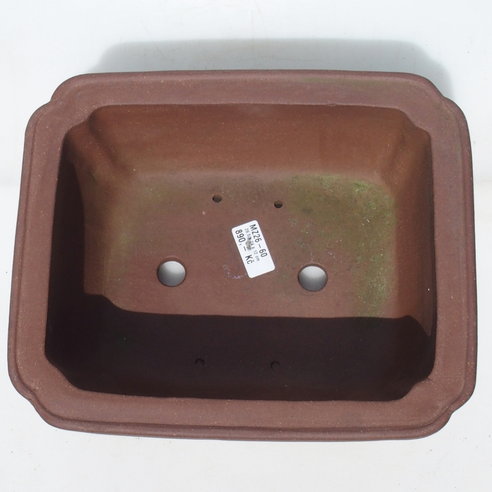 Bonsaischaal 29,5 x 24 x 12 cm