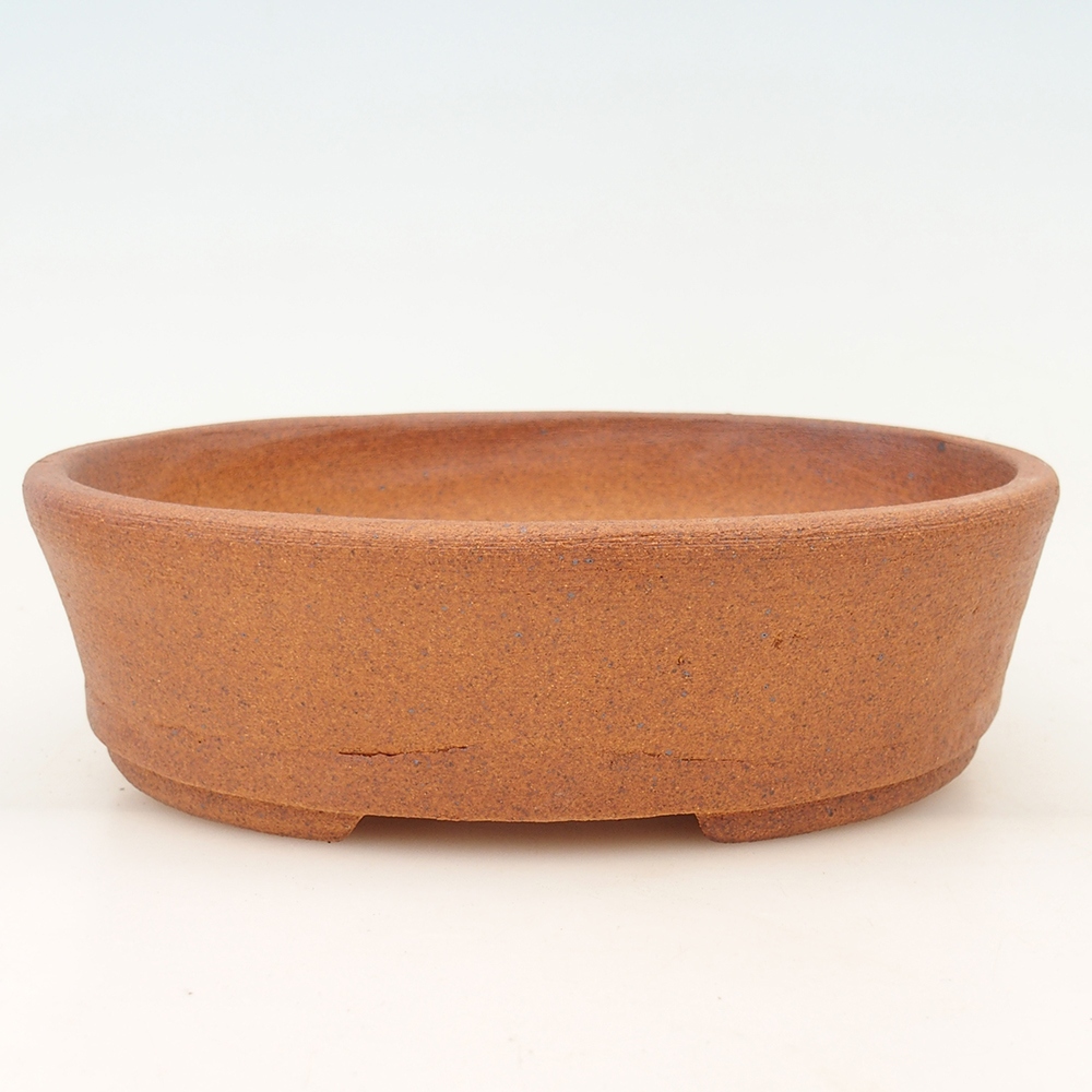 Bonsaischaal 20 x 16 x 6 cm , kleur bruin