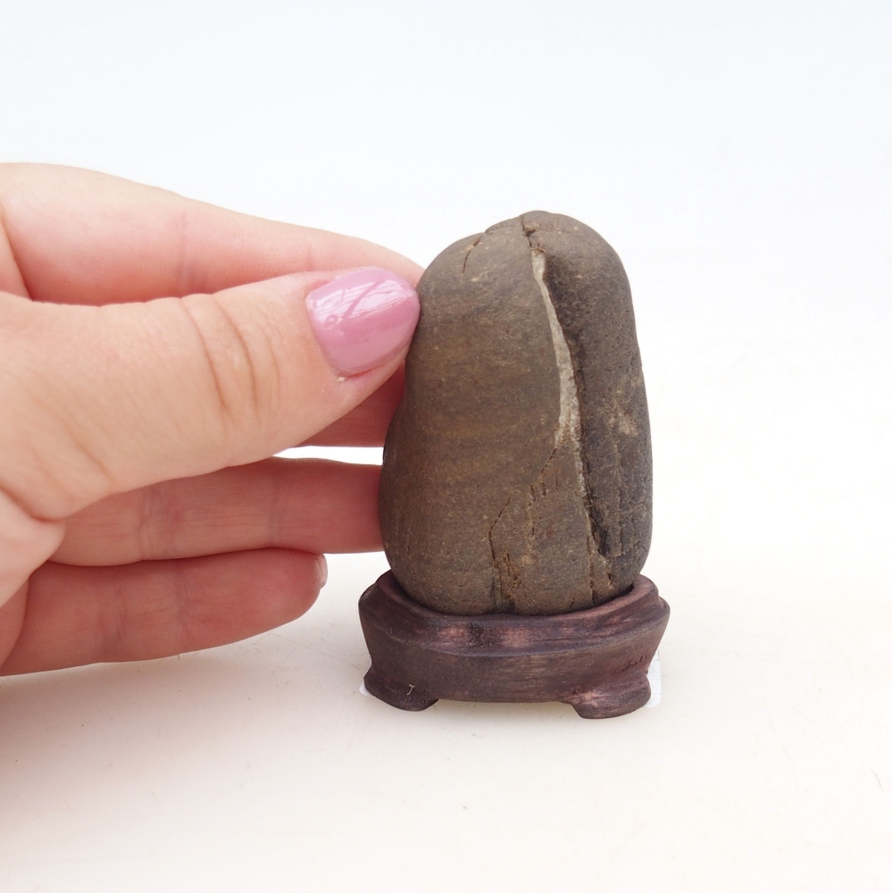 Suiseki - Steen met DAI (houten basis)